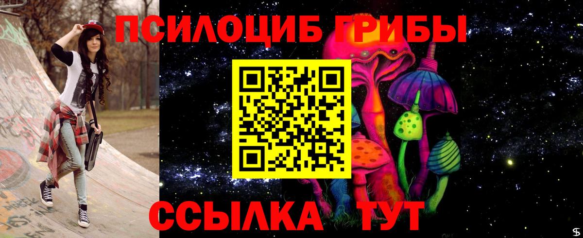 Псилоцибиновые грибы мицелий Топки