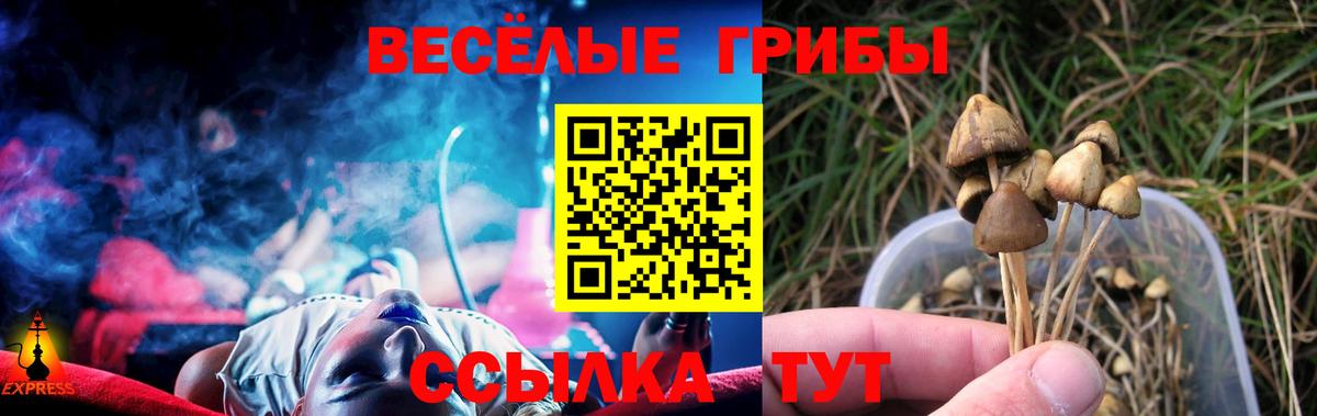 Топки  Галлюциногенные грибы Psilocybine cubensis  Вход с VPN  Галлюциногенные грибы MAGIC MUSHROOMS 